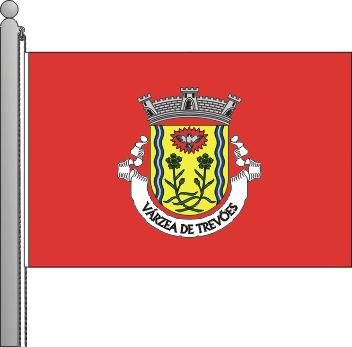 Bandeira da Várzea de Trevões