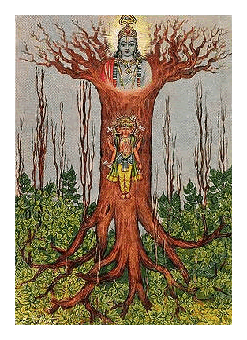 Árvore Mítica dos Hindus