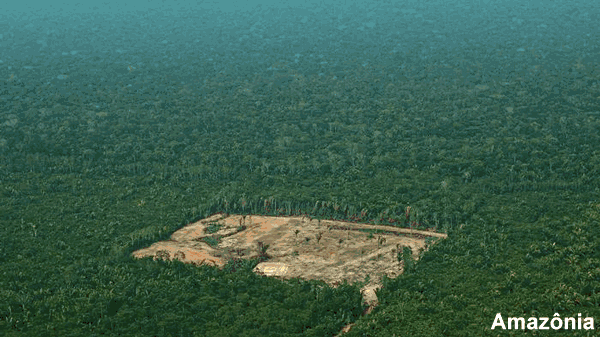 Amazônia/Pantanal